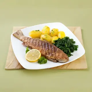 Sveža pastrmka