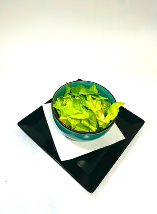 Zelena salata