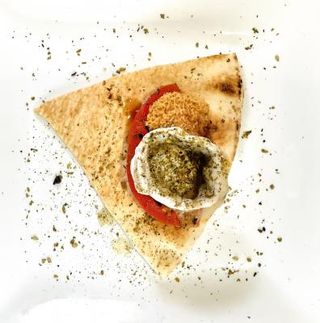 Falsa viera since 2006