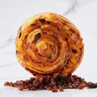 PAIN RAISIN