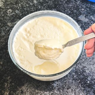 Plain Dahi