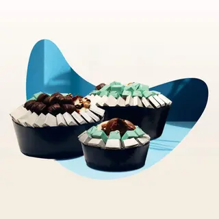 collection ocean
