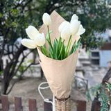 ტიტების თაიგული