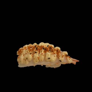 nigiri ebi spicy
