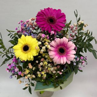 018-PARA LA MAS ESPECIAL !!3 GERBERITAS COLORES