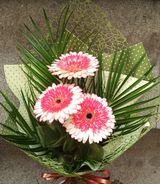 Букет от 3 гербера с богата зеленина и луксозна опаковка (1бр)