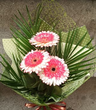 Букет от 3 гербера с богата зеленина и луксозна опаковка (1бр)