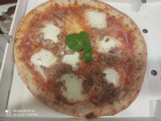 Tonno e Cipolla - Maxi