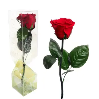 Rosa Eterna Roja Tallo corto