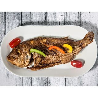 Fish Small