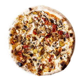 Pizza Vegetal