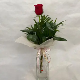 Rosa Individual vermella
