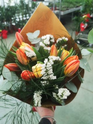 Tulipani deset komada i dekoracija 