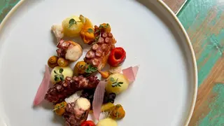 SECONDO DI POLPO