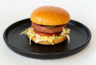 Hamburger vegetal