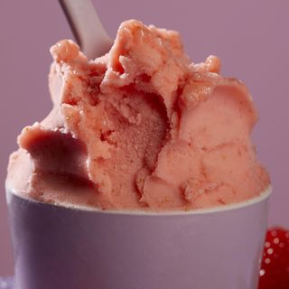 Gelato alla fragola 250g