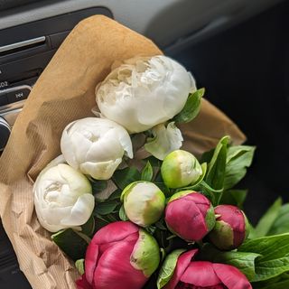 Sezonowe kwiaty do wazonu