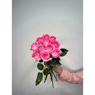 Różowa Róża 50 cm, 11 szt