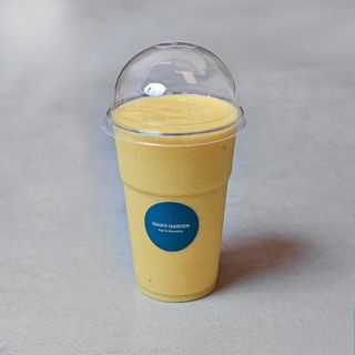 Balloon Flower (0.5 Lt.)