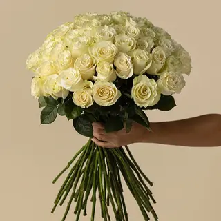 Ramo de 50 rosas blancas