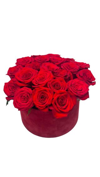 Cutie medie Trandafiri roșii