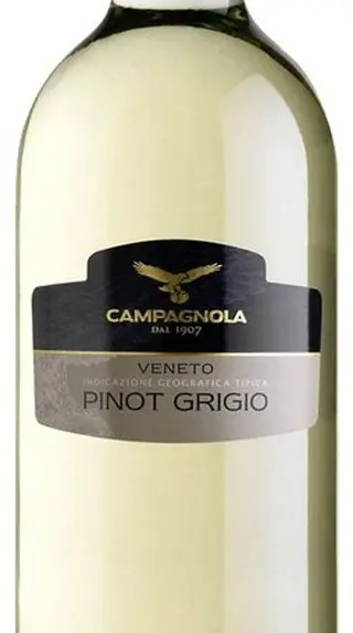 PINOT GRIGIO VENETO CAMPAGNOLA (VENECIA-ZONA NORTE) BOT