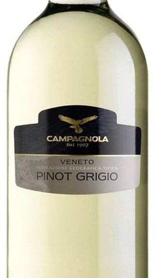 PINOT GRIGIO VENETO CAMPAGNOLA (VENECIA-ZONA NORTE) BOT
