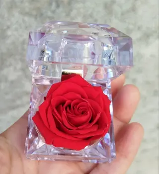 Rosa Jewel