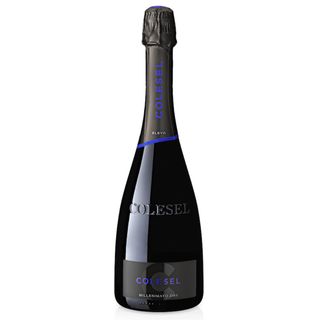 Colesel PROSECCO Dry DOCG ELEVO Millesimato, bio