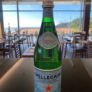 S. PELLEGRINO 75cl
