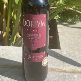 Dorium roble