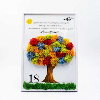 Tablou cu licheni Majorat - 20x30