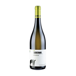 Trentenare, Fiano DOC