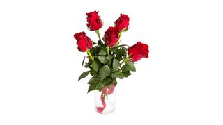 Róża czerwona 5 szt.