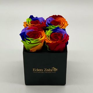  Carré D’Etoile Rainbow 