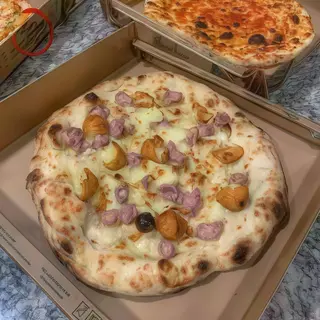 Partenopea