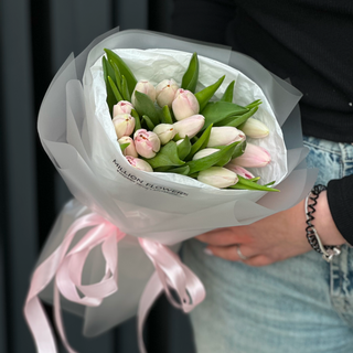 19 тюльпанів Dynasty 