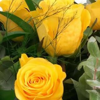 Media Docena Rosas color amarillas