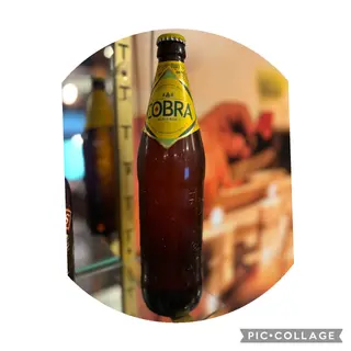 COBRA ( LARGE)