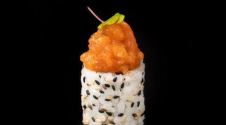 -236-spicy Salmon# 4pz