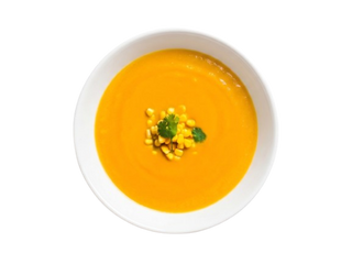 Sopa do Dia