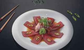 მაგურო საშიმი(თინუსი)