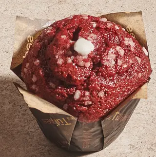 Tulipe red velvet