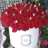 Jardin De Romance
