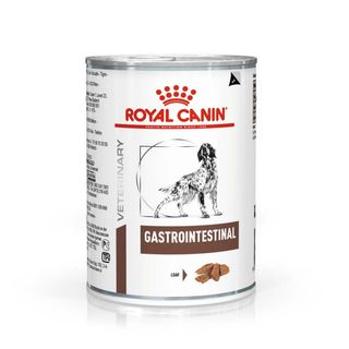 RC VetDiet Canine Gastro Intestinal, kod gastrointestinalnih poremećaja, 400g (KOD RYVVD1061)