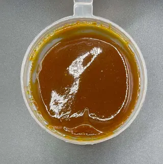 Bbq