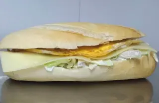 POLLASTRE