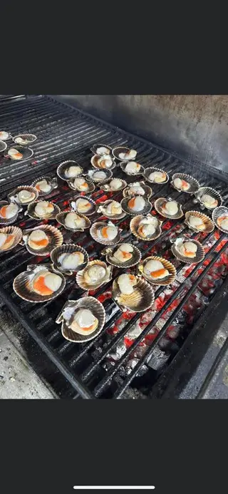 Coquilles
