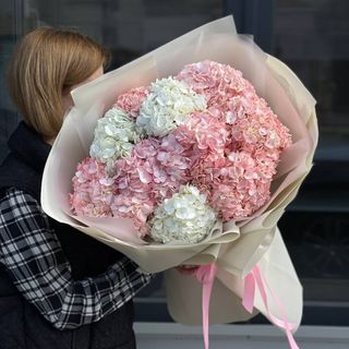 Гортензія мікс 11 шт