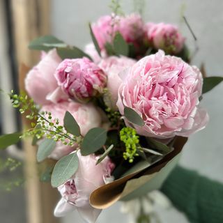Ramo de 5 peonías rosadas